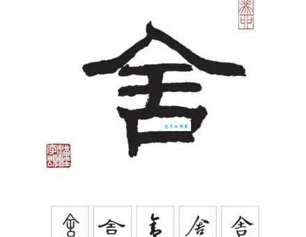 舍的笔顺怎么学？专家分享实用技巧！