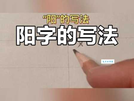 阳笔顺写错了?掌握这几点轻松写对!