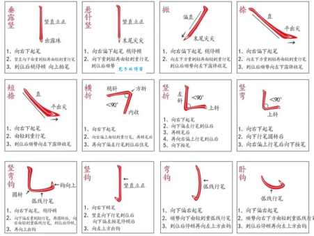 轻笔顺有哪些功能?这几个亮点别错过!