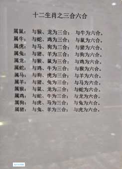 赤子之心打一生肖,这几个生肖最有可能!