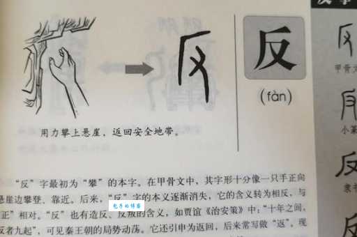 反的笔顺正确写法是什么?老师来给你解答!