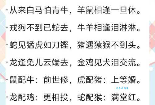 马捉老鼠啥含义?了解这个俗语不吃亏!