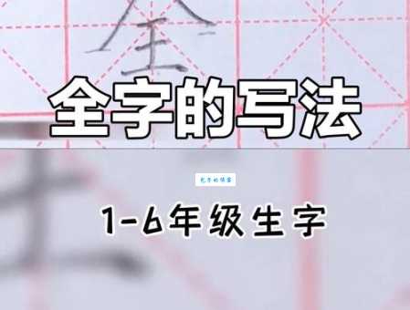 全的笔顺容易错在哪？这些要点要牢记！