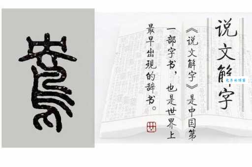 鸳的笔顺到底咋写？专业老师来教你！