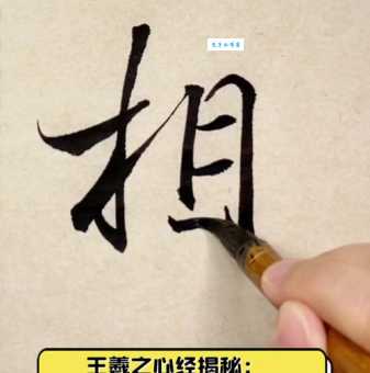 相的笔顺怎么写?掌握这几步轻松搞定!