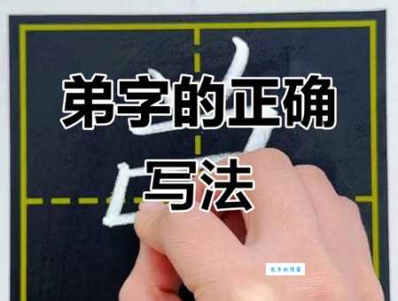 弟的笔顺正确写法是啥?快来学习一下!