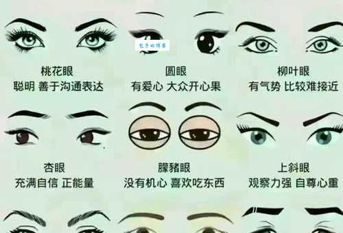 眼皮子薄究竟啥含义?通过例子给你讲清!