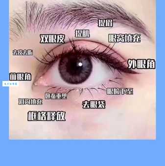 眼皮子薄究竟啥含义?通过例子给你讲清!