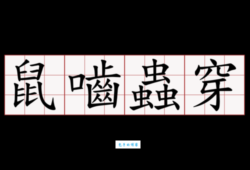 鼠啮虫穿的意思是什么?一文带你搞明白