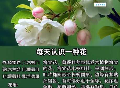 想知道花繁叶茂的解释吗？这些要点别错过