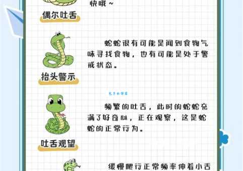 膝语蛇行的解释是啥？看完这篇就懂了！