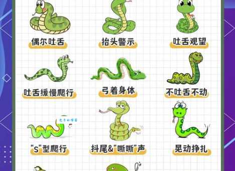 膝语蛇行的解释是啥？看完这篇就懂了！