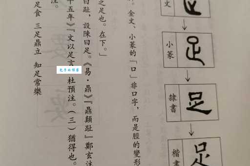 足的笔顺有啥规则?搞懂这些不再写错!