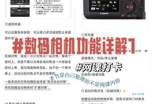 相机而行什么意思？看完这篇就清楚啦！