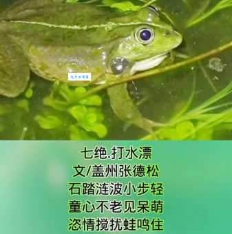 一把刀顺水漂有眼睛没眉毛,这动物名你知道不