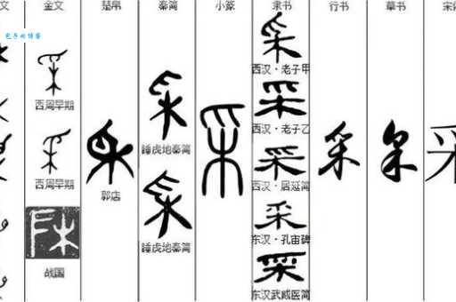 采的笔顺写法对不对?专家教你正确判断!