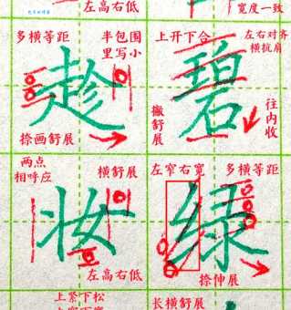 采的笔顺写法对不对?专家教你正确判断!