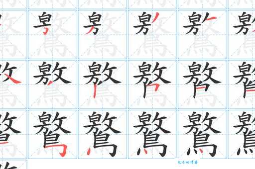 甡字怎么读才正确?权威解读为你解惑