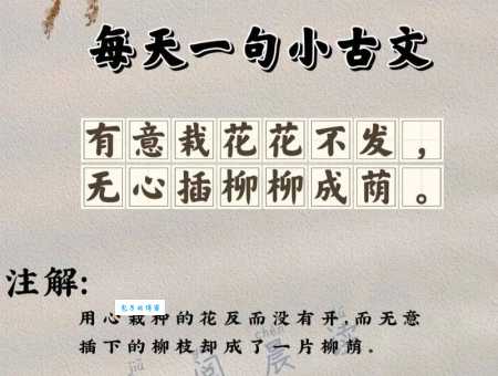 想知道柳泣花啼什么意思?这些解释别错过