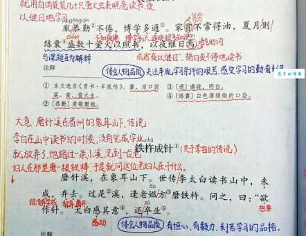 搞不清阮囊羞涩的意思?这篇文章给答案!