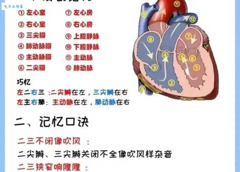 分心挂腹啥意思？专家解读让你秒懂！