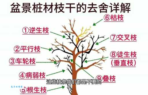 粗枝大叶的解释是什么?看完这篇全懂了!
