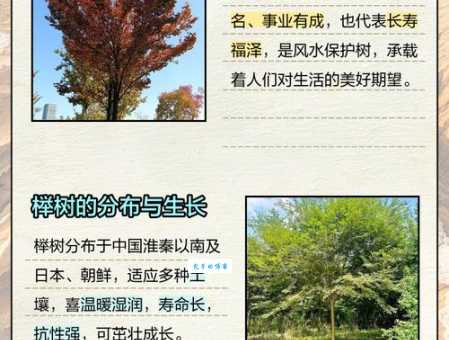 粗枝大叶的解释是什么?看完这篇全懂了!