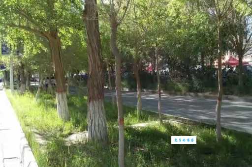 灿烂夺目到底什么意思?这些例子帮你理解!