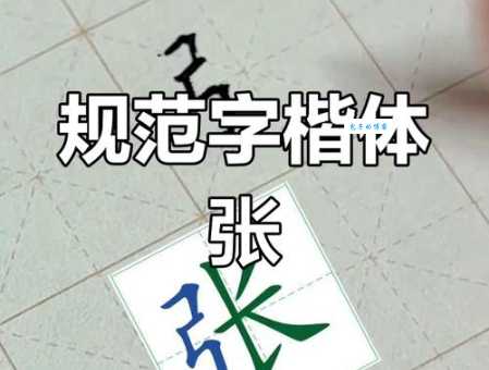 张的笔顺写对了吗?快来对照检查一下!