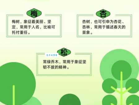 青黄沟木是什么意思？快来了解这个生僻词！