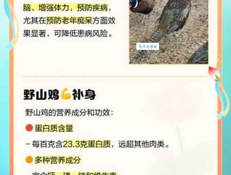 呼卢喝雉啥意思呀?专家给出权威解答