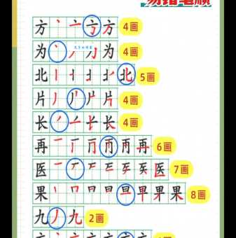 从的笔顺容易错在哪？避开误区写对字！