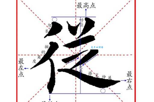 从的笔顺容易错在哪？避开误区写对字！