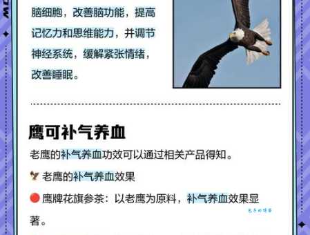 鹰头雀脑的意思你了解吗?快来涨知识!