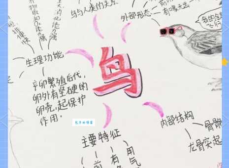 鹰头雀脑的意思你了解吗?快来涨知识!