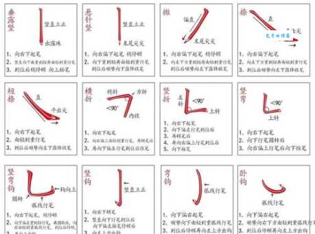把的笔画笔顺记不住?这方法让你秒懂!