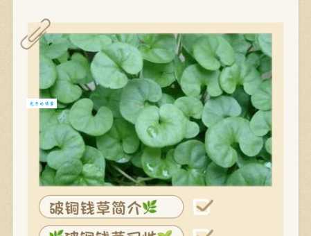 想知道穷苗苦根的意思？听专家来详细解读