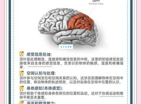 有头有脑的解释咋理解？专家来给你说道！
