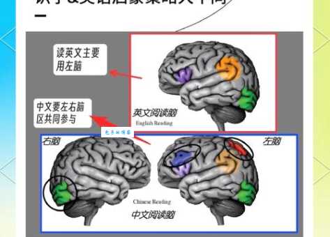 有头有脑的解释咋理解？专家来给你说道！