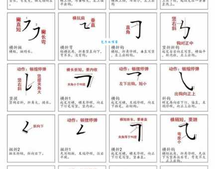 它笔顺正确写法是什么?权威解析来啦!