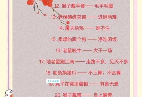 鸡口牛后到底啥意思?听听过来人的解释!