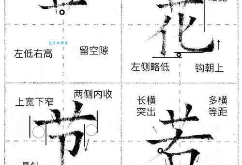 浑的笔顺有啥规则？专家来给你讲明白！