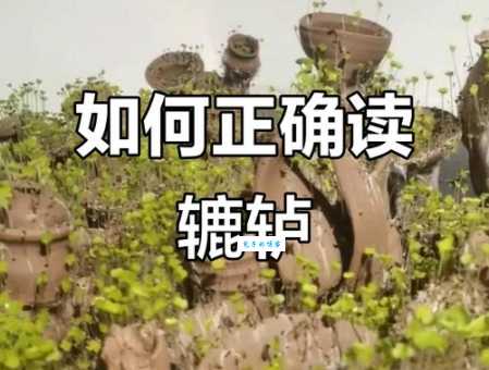 不知道鋳字怎么读?这些方法让你轻松掌握读音