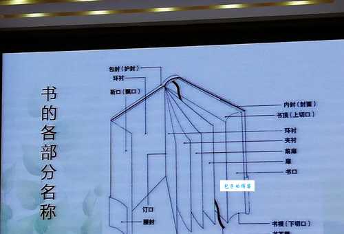 杉的笔顺正确写法是啥?快来学习一下!