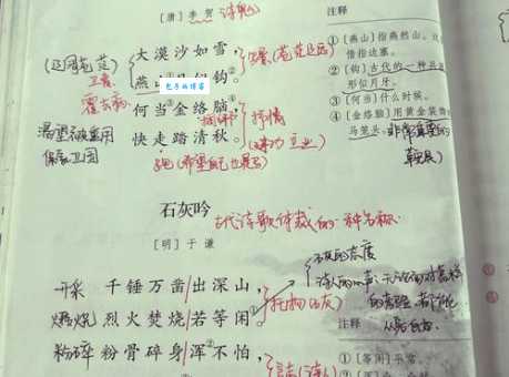 想知道青黄沟木的意思?这些解读给你答案!