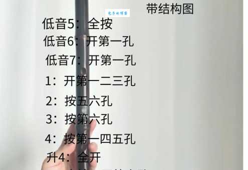 笛的笔顺怎么学？这些方法让你快速掌握！