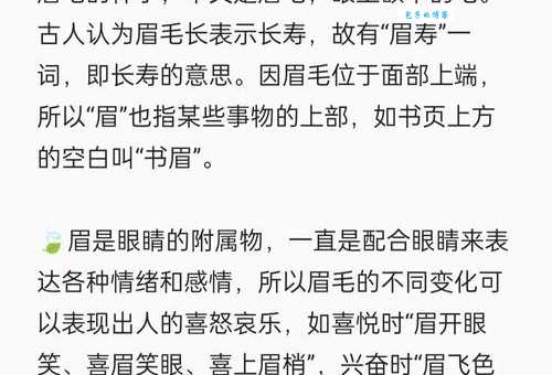 迟眉钝眼的意思是什么？一文带你搞明白！