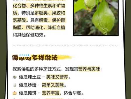 水里纳瓜的意思不清楚？看完这篇就懂了