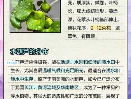 水里纳瓜的意思不清楚？看完这篇就懂了