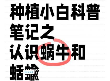 昤怎么读有讲究?这里有详细的读音攻略